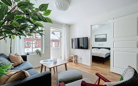 Svanhågna Gård: Bois, Chalet, Domicile, Maison, Toit, Siding, L'Hiver, Neige, Gelé, Pente
