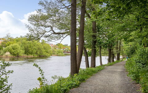 Alegränd: L'Eau, Ressources En Eau, Plan D'Eau, Arbre, Vert, La Nature, Environnement Naturel, Feuille, Paysage Naturel