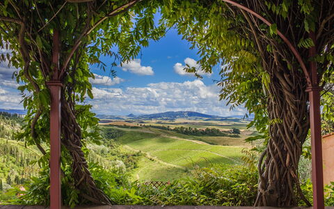 Villa Camelia: Vert, La Nature, Végétation, Paysage Naturel, Paysage, Écorégion, Communauté Des Plantes, Lot Terre, Zone Rurale, Plantation