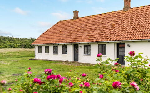 Nette - 15Km from the Sea: Ciel, Herbe, Toit, Maison, Domicile, Chalet, Plaine, Zone Rurale, Paysage, Prairie