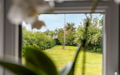 Nette - 15Km from the Sea: Feuille, Végétation, Lot Terre, Printemps, Lumière Du Soleil, Suppression Des Plantes Ligneuses, Jardin, Verre, Pelouse