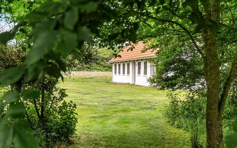 Nette - 15Km from the Sea: Arbre, Herbe, Feuille, Arbuste, Zone Rurale, Lot Terre, Plaine, Domicile, Chalet, Pelouse