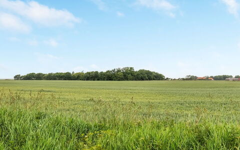 Nette - 15Km from the Sea: Ciel, Bleu, Vert, Jour, Herbe, Environnement Naturel, Prairie, Champ, Plaine, Paysage Naturel