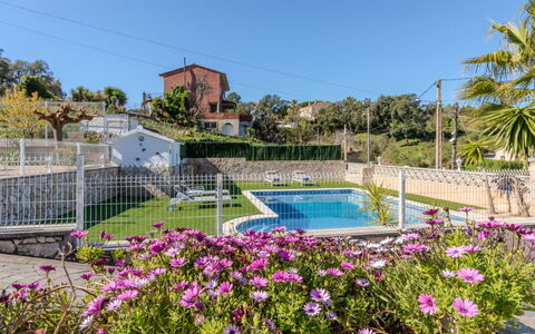 Abie: Jardin, Clôture, Aménagement Paysager, Biens, Ombre, Cour, Piscine, Hacienda, Arrière-Cour, Accueil Escrime