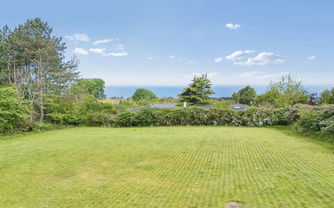 Heike - 650M from the Sea: Vert, Arbuste, Prairie, Couverture De Sol, Jardin, Prairie, Pelouse, Pâturage, Aménagement Paysager, Parc