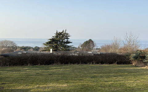 Heike - 650M from the Sea: Ciel, Plaine, Lot Terre, Pelouse, Aménagement Paysager, À Feuilles Persistantes, Parc