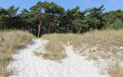 Yaris - 4.5Km from the Sea: Bleu, Chalet, Maison, Domicile, Ferme, Biens, Siding