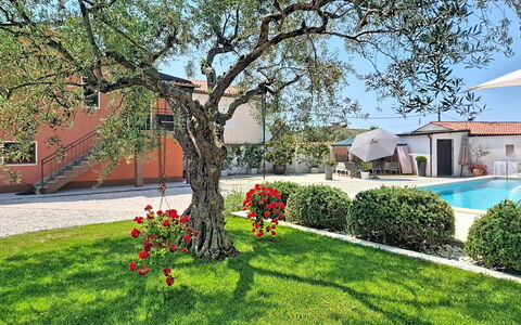 Villa Roza: Maison, Jardin, Ombre, Biens, Hacienda, Aménagement Paysager, Cour, Cour, Villa