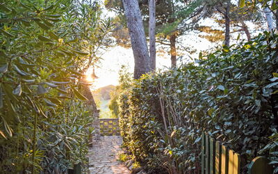 Logement:&nbsp;Terrazzina 13.1