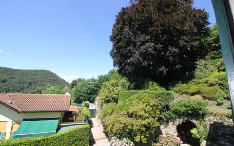 Bellavista Dimora Storica Vista Lago: Vert, Feuille, Végétation, Arbuste, Jardin, Haie, Aménagement Paysager, Jardin Botanique, À Feuilles Persistantes