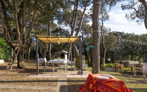 La Casetta Immersa nel Verde: Arbre, Végétation, Arbuste, Architecture, Maison, Paysage, Domicile, Zone Rurale, Communauté Des Plantes, Biens