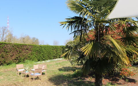 Villa Camerini, Nature, Bikes and Beaches: Suppression Des Plantes Ligneuses, Ombre, Jardin, Aménagement Paysager, Eco Hôtel