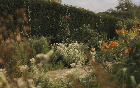Innes House: La Nature, Feuille, Végétation, Arbuste, Communauté Des Plantes, Jardin, Couverture De Sol, Lumière Du Soleil, Wildflower, Plante Herbacée