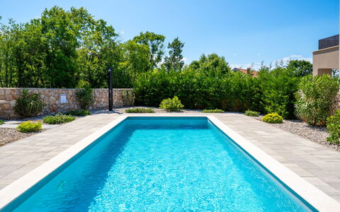 Dream: Bleu, Piscine, Composite, Caractéristique De L'Eau, Tuile, Jardin, Recours, Aménagement Paysager, Conception, Eco Hôtel