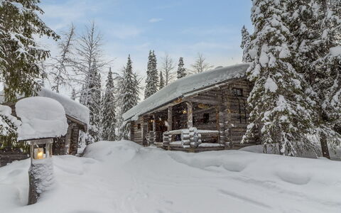 Mäkikelo: Neige, L'Hiver, Branche, Bois, Chalet, Gelé, Domicile, Mélèze
