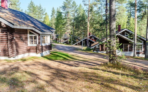 Honkakoli 9 2: Arbre, Chalet, Maison, Toit, Domicile, Zone Rurale, Lot Terre, Cabane En Rondins, Mélèze, Siding