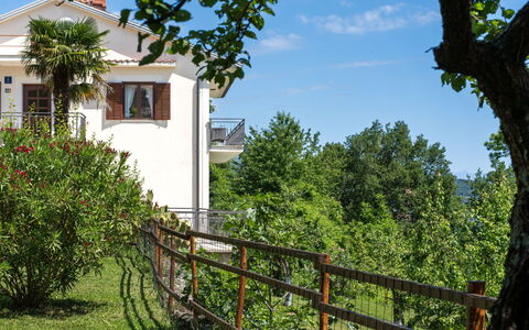 Orbani: Arbuste, Balcon, Jardin, Ombre, Cour, Porche, Villa, Arrière-Cour