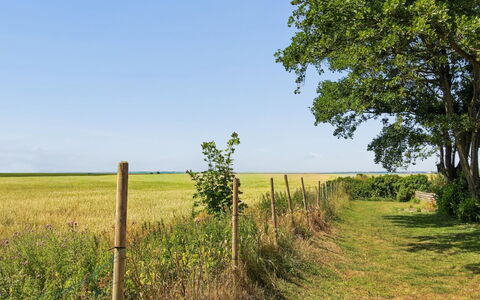 Milan - 20Km from the Sea: Toit, Maison, Domicile, Chalet, Porte, Siding, Biens, Pelouse, Cour, Porche