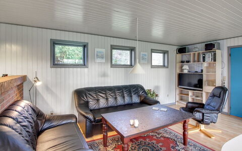 Kate - 700M to the Fjord: Plafond, Bois, Design Intérieur, Sol, Sol, Meubles, Canapé, Pièce, Salon, Domicile