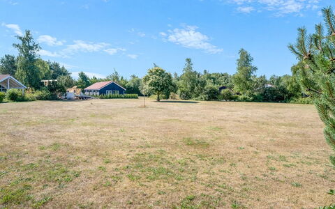 Safina - 1Km from the Sea: Ciel, Bleu, Plaine, Paysage, Lot Terre, Zone Rurale, Champ, Pelouse, Prairie, Pâturage
