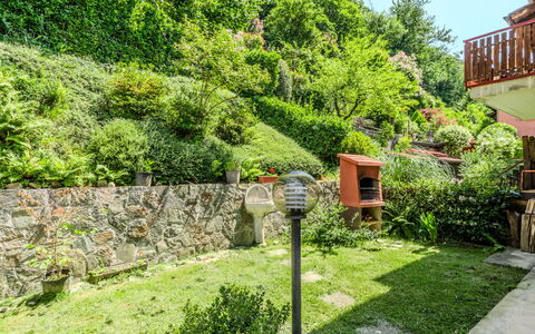 Lidia: Vert, Arbuste, Jardin, Communauté Des Plantes, Couverture De Sol, Aménagement Paysager, Cour, Arrière-Cour, Jardin Botanique