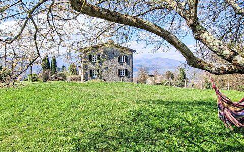 Il Colle di Tiglio: Herbe, Arbuste, Maison, Paysage, Domicile, Prairie, Lot Terre, Zone Rurale, Chalet, Pelouse