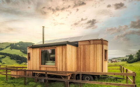 Boutique Tiny House: Tache De Bois, Dur, Cabane En Rondins, Batiments Jardin
