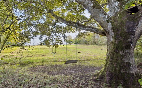 Sigbritt - 3.7Km from the Sea: Branche, Feuille, Herbe, Arbre, Environnement Naturel, Prairie, Tronc, Plaine, Brindille, Lot Terre