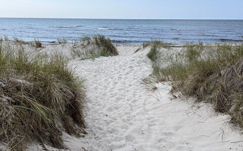 Aarre - 1Km from the Sea: Environnement Naturel, Plage, Côte, Mer, Rive, Cotiers Et Relief Océaniques, Le Sable, Océan, Vague