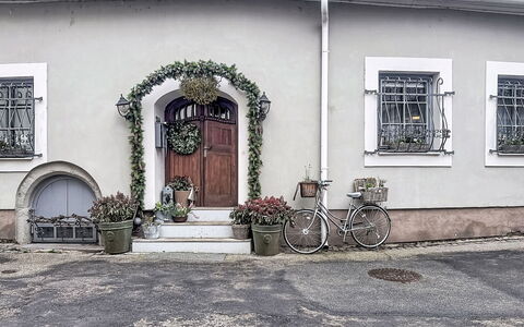 Luxury Suite 244: Mur, Porte, Pot De Fleur, Plante D'Appartement, Accueil Porte, Béton, Moulage, Plâtre