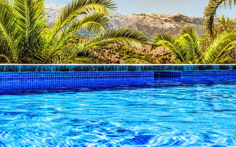 Coin 2: Bleu, L'Eau, Piscine, Recours, Tropiques, Eco Hôtel, Hôtel, Caractéristique De L'Eau