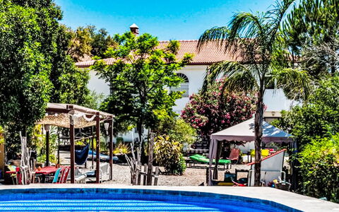 Coin 2: Arbre, Loisir, Piscine, Des Loisirs, Recours, Vacances, Amusement, Ombre, Hacienda, Eco Hôtel