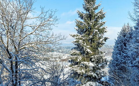 Apartamento Giovanna: Bleu, Neige, Branche, L'Hiver, Arbre, Gel, Brindille, Gelé, Mélèze