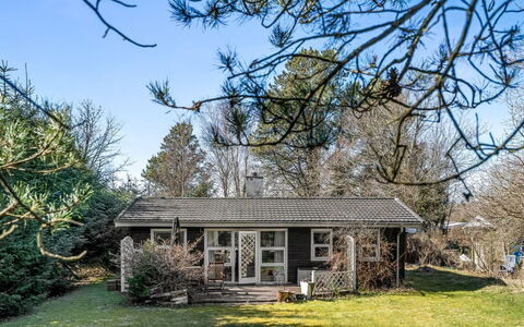 Jamie - from the Sea: Arbre, Branche, Bâtiment, Fenêtre, Maison, Domicile, Arbuste, Chalet, Toit