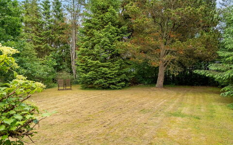 Jamie - from the Sea: Arbre, Herbe, Feuille, Vert, Arbuste, Jardin, Lot Terre, Pelouse, Couverture De Sol
