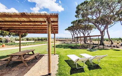 Bibbona 15: Ombre, Jardin, Pelouse, Aménagement Paysager, Parc, Structure En Plein Air, Lumber