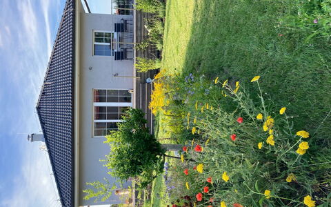 Hillside View: Vert, Maison, Domicile, Jardin, Printemps, Pelouse, Cour, Arrière-Cour, Ombre, Aménagement Paysager