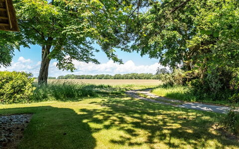 Fausta - 2Km from the Sea: Bleu, Vert, Jour, Herbe, Arbre, La Nature, Environnement Naturel, Feuille, Branche, Prairie