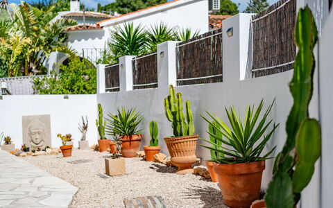 Rincón del Sol: Meubles, Bois, Chaise, Sol, Mer, Balcon, Clôture, Plate-Forme, Dur, Tache De Bois