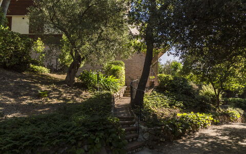 Villa Sole - Exclusive Villa al Conero con Piscina: Feuille, Branche, La Nature, Végétation, Arbuste, Jardin, Communauté Des Plantes, Paysage, Brindille