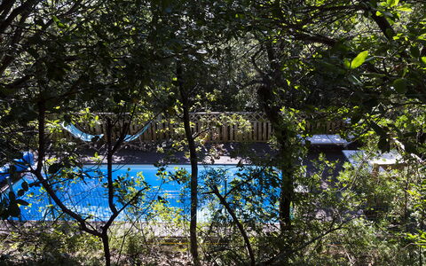 Villa Sole - Exclusive Villa al Conero con Piscina: Bleu, La Nature, Feuille, Branche, Piscine, Ombre, Lumière Du Soleil, Brindille, Jardin, Arrière-Cour