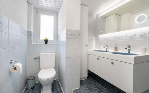 Apartment Troja: Salle De Bains, Luminaire Plomberie, Sol, Lavabo, Siège De Toilette, Évier, Mur, Toilette, Sol, Design Intérieur