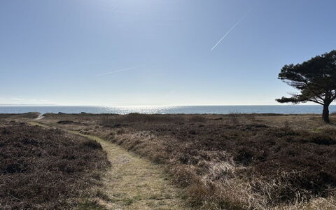 Euphemia - 200M from the Sea: Ciel, Bleu, Herbe, Horizon, Végétation, Écorégion, Paysage Naturel, Prairie, Plaine, Communauté Des Plantes
