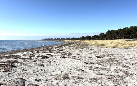 Euphemia - 200M from the Sea: L'Eau, Plage, Côte, Rive, Horizon, Cotiers Et Relief Océaniques, Mer, Le Sable, Océan