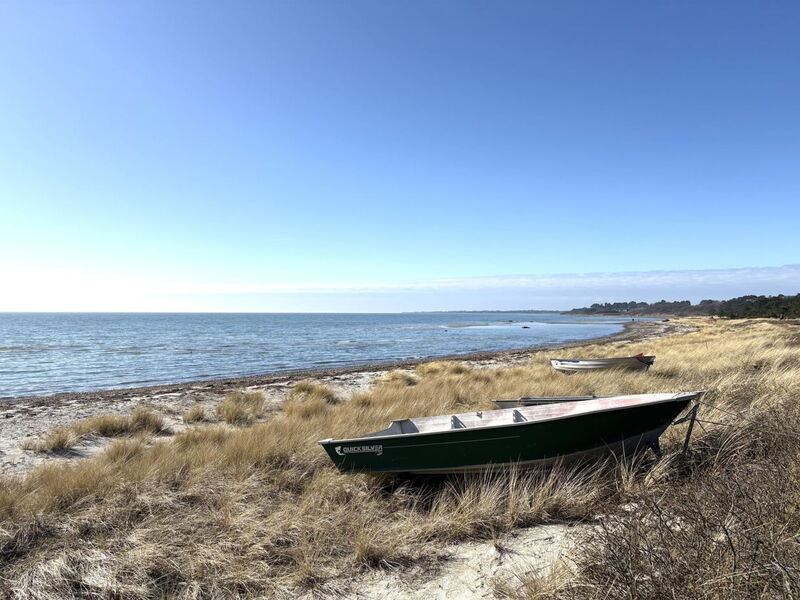 Euphemia - 200M from the Sea