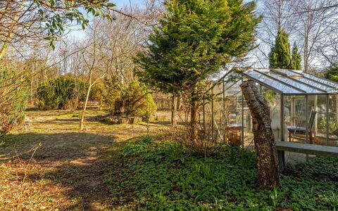 Farah - 2Km to the Fjord: Végétation, Arbuste, Jardin, Communauté Des Plantes, Couverture De Sol, Suppression Des Plantes Ligneuses, Jardin Botanique, Aménagement Paysager, Ombre, Batiments Jardin