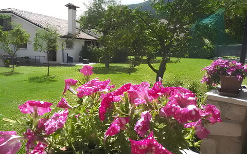 La Corte di Marga - Casa Gustet: Fleur, Pétale, Rose, Arbuste, Jardin, Printemps, Couverture De Sol, Plante À Fleurs, Violet