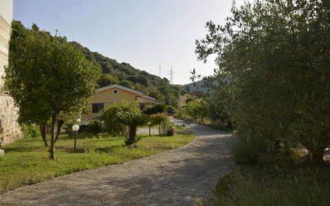 Villa del Monte by Geco Vacation Rentals: Végétation, Paysage, Arbuste, Zone Rurale, Allée, Village De Montagne, Piste, Passerelle, Chemin