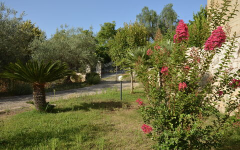 Villa del Monte by Geco Vacation Rentals: Fleur, Arbuste, Jardin, Rose, Printemps, Plante À Fleurs, Aménagement Paysager, Jardin Botanique, Cour