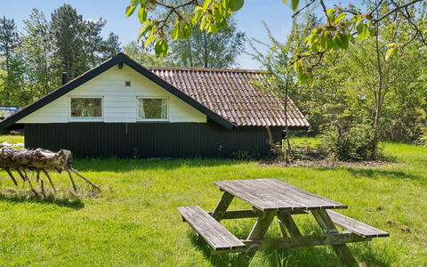 Petkana - 4Km from the Sea: Herbe, Arbre, Chalet, Maison, Lot Terre, Domicile, Zone Rurale, Toit, Couverture De Sol